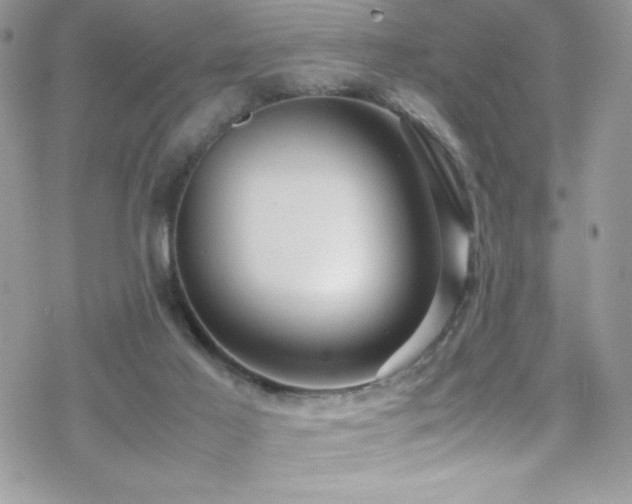 X0000070410021200606091203