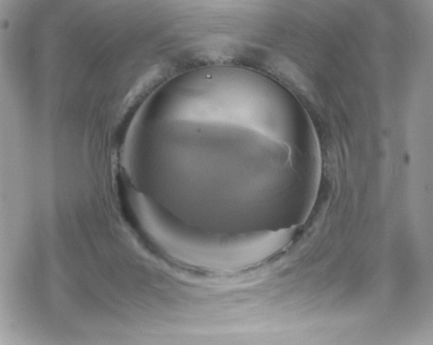 X0000070410023200606091203