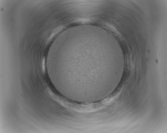 X0000070410024200606091203