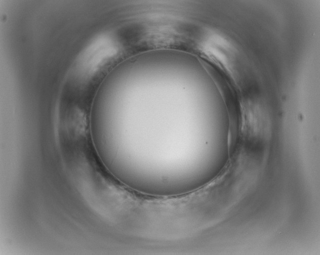 X0000070410025200606091203