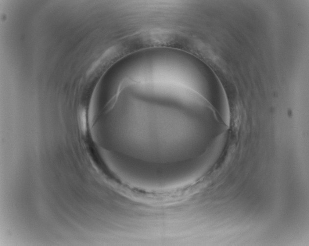 X0000070410027200606091203