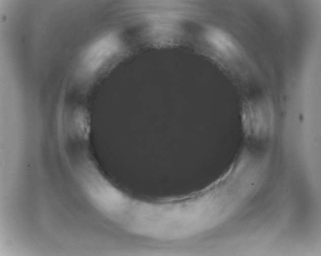 X0000070410029200606091203