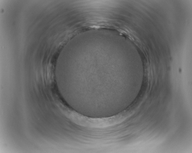 X0000070410030200606091203