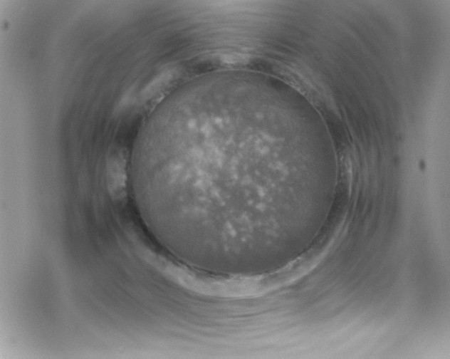 X0000070410032200606091203