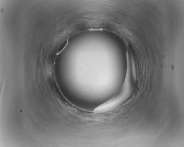 X0000070410033200606091202