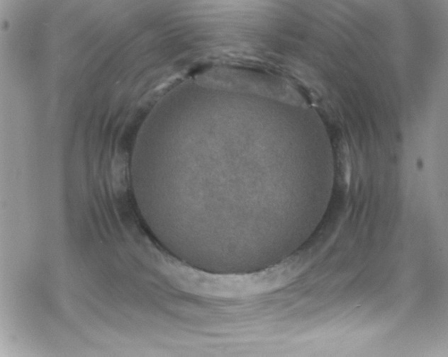 X0000070410034200606091202