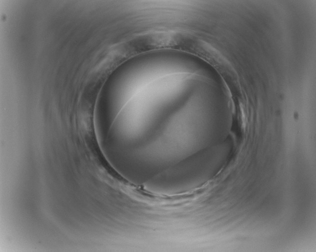 X0000070410035200606091202