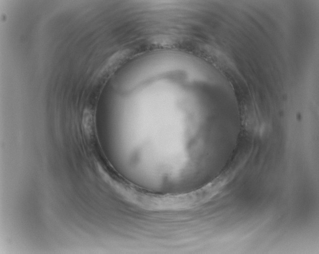 X0000070410036200606091202