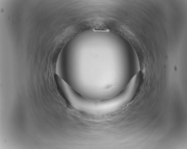 X0000070410037200606091202