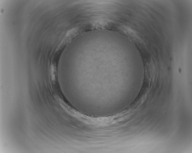 X0000070410038200606091202