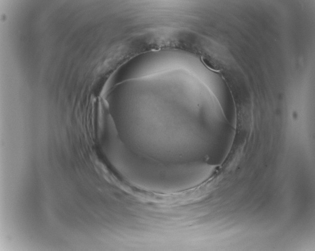 X0000070410039200606091202