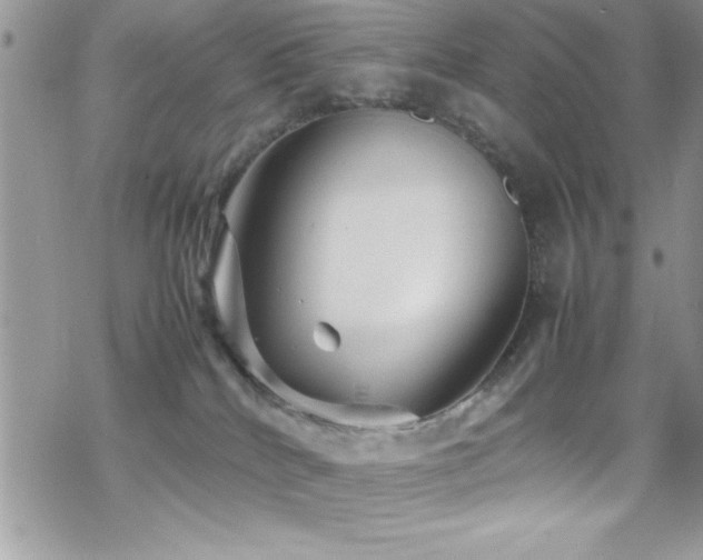 X0000070410040200606091202