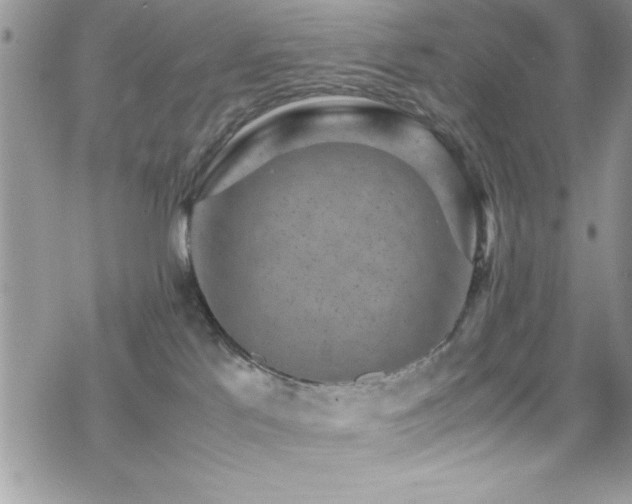 X0000070410041200606091202