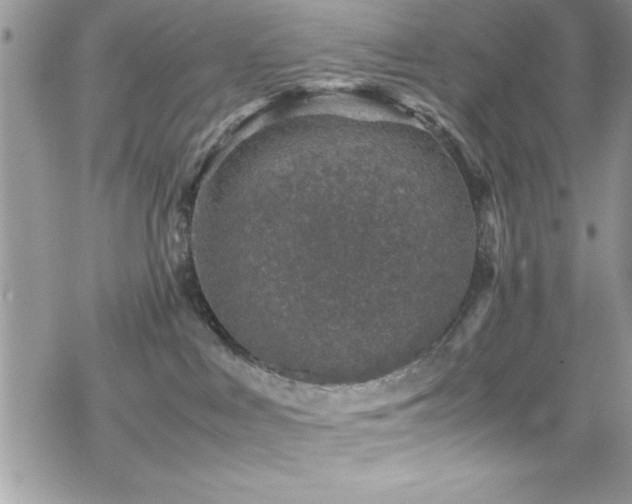 X0000070410043200606091202