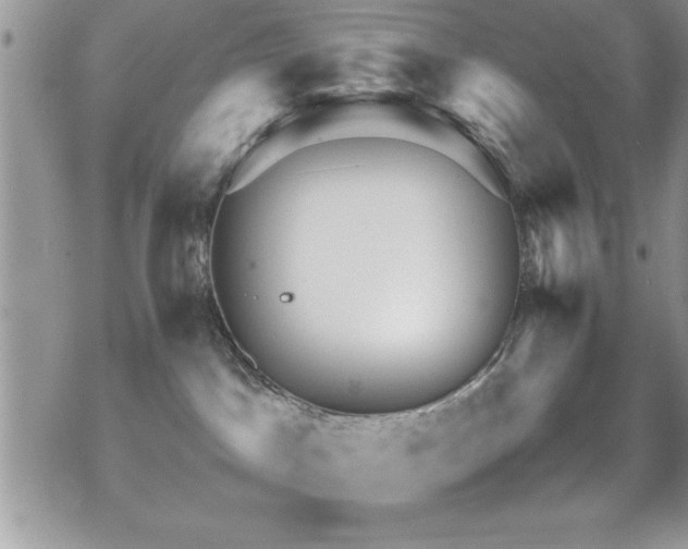 X0000070410045200606091202