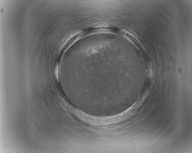 X0000070410047200606091202