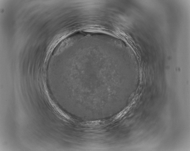 X0000070410049200606091201