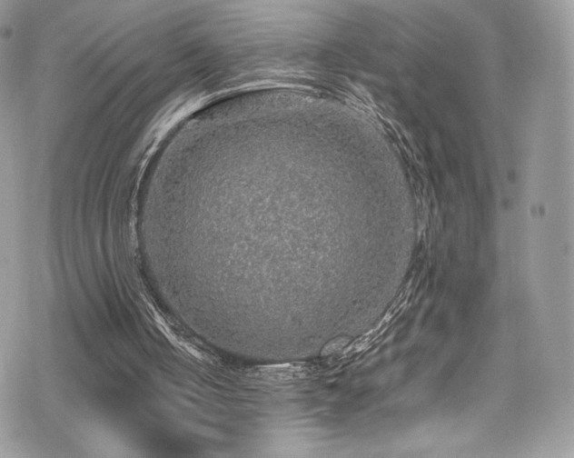 X0000070410050200606091201