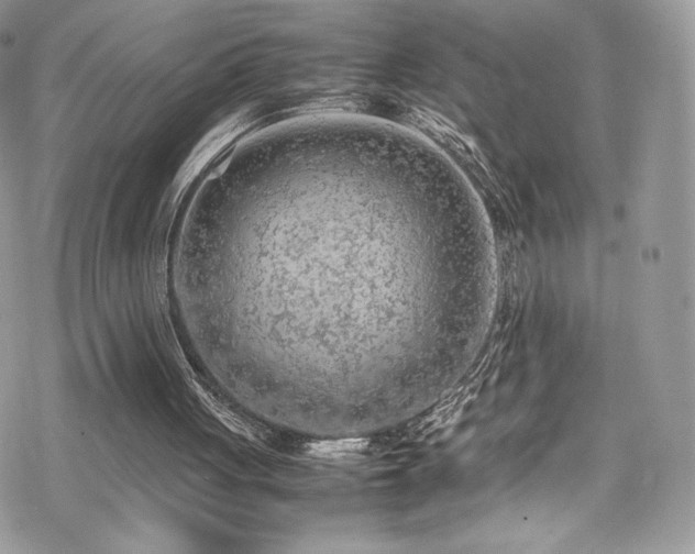 X0000070410051200606091201