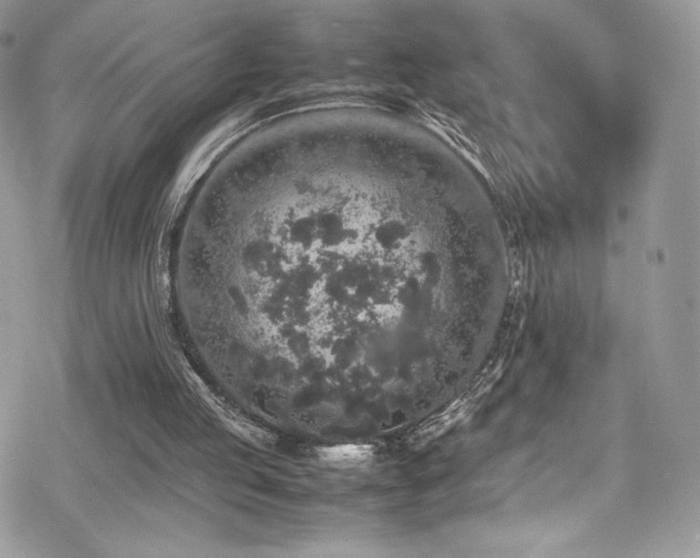 X0000070410053200606091202