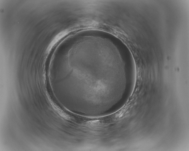 X0000070410054200606091202