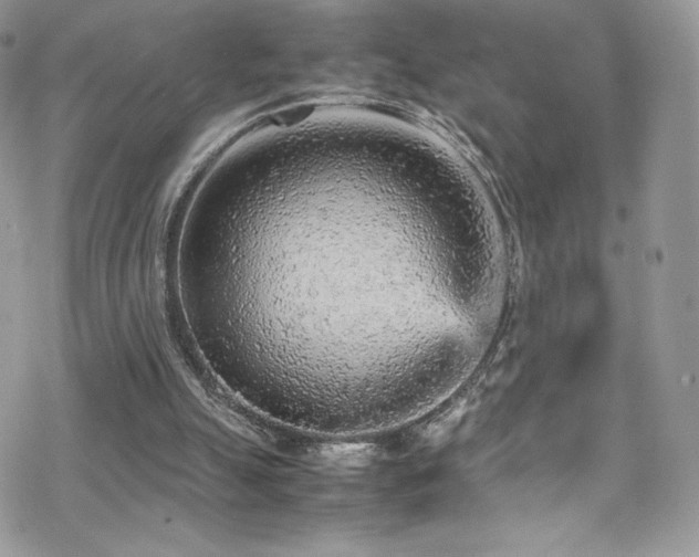 X0000070410055200606091202