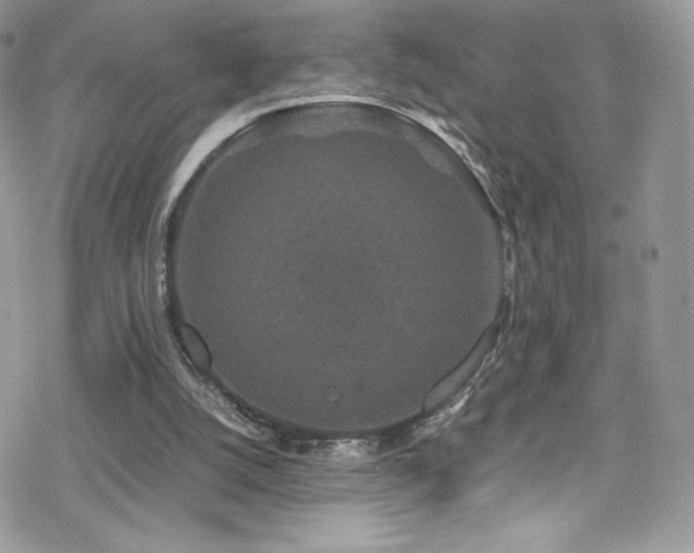 X0000070410056200606091202