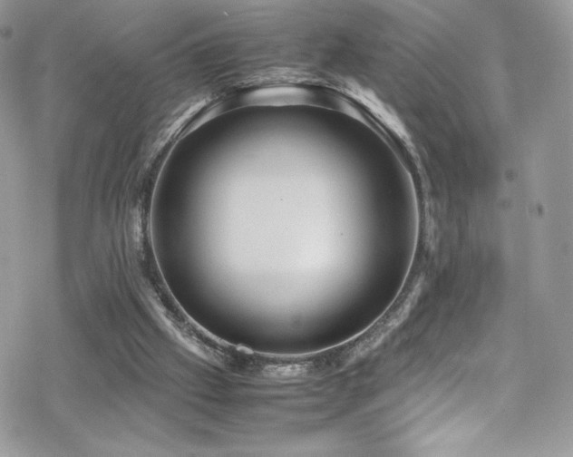 X0000070410057200606091202