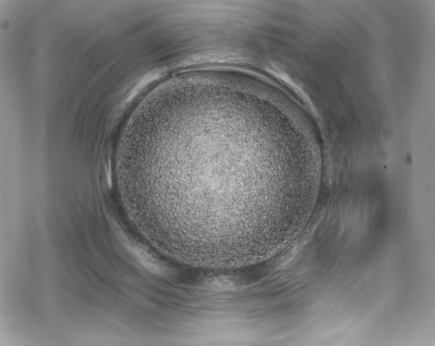 X0000070410062200606091202