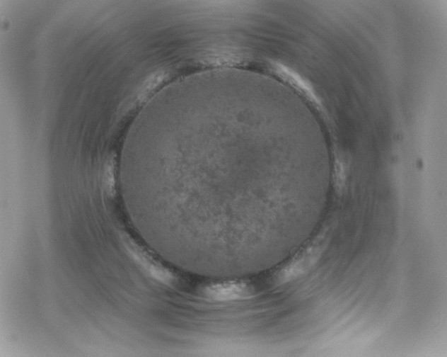 X0000070410065200606091202