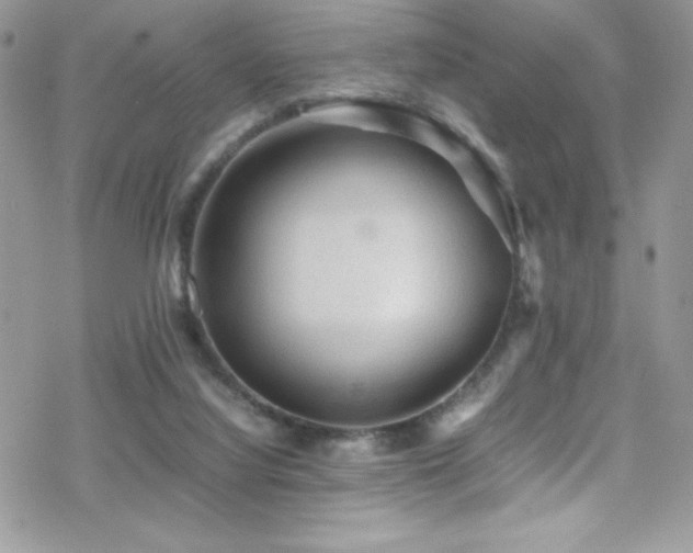 X0000070410068200606091202