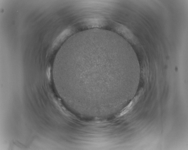 X0000070410070200606091202