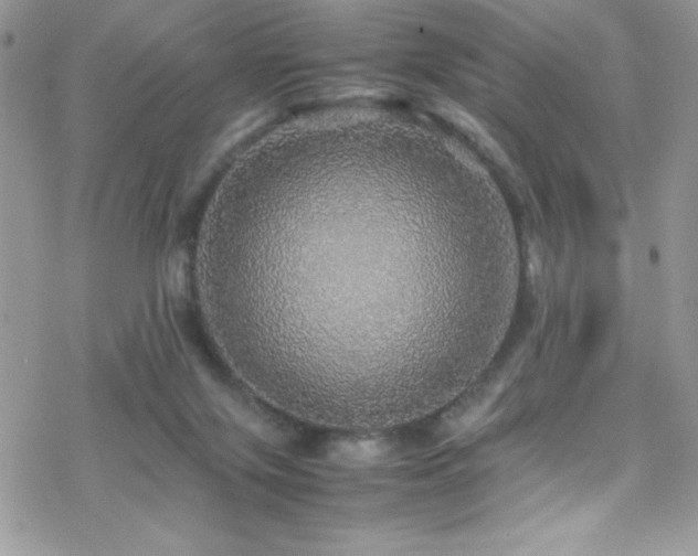 X0000070410071200606091202