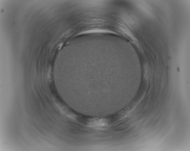 X0000070410073200606091202