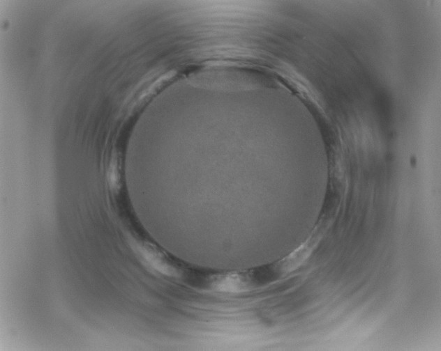 X0000070410074200606091202