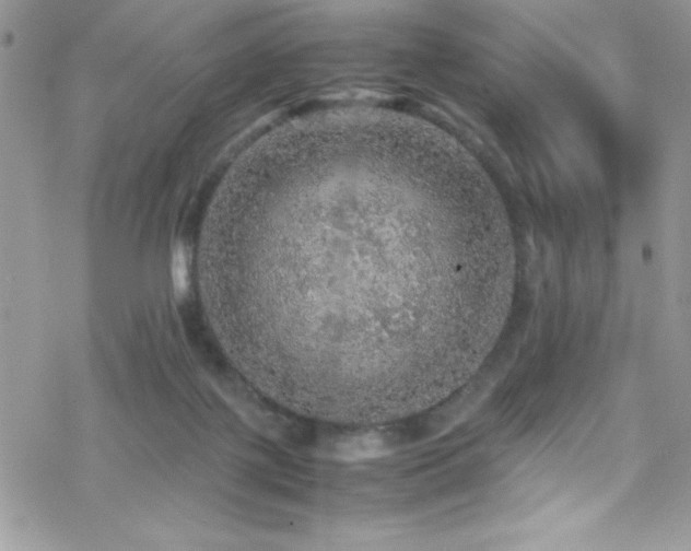 X0000070410075200606091202