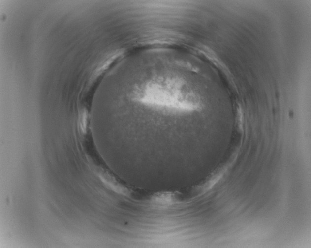 X0000070410076200606091202