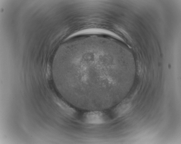 X0000070410077200606091202