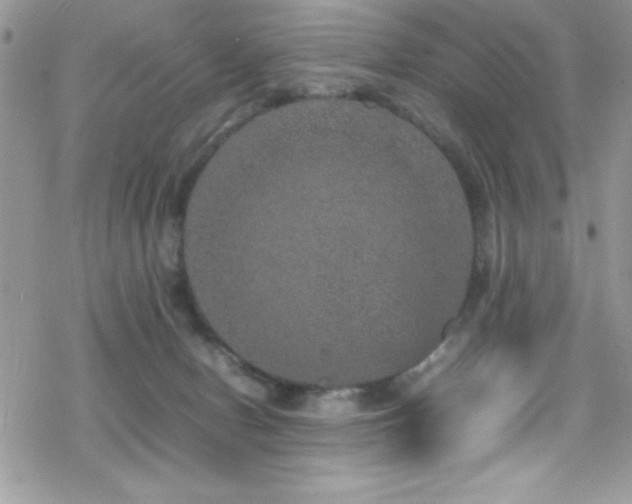 X0000070410078200606091202