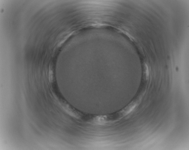 X0000070410080200606091202