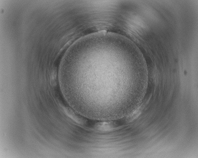 X0000070410082200606091202