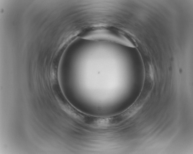 X0000070410084200606091202