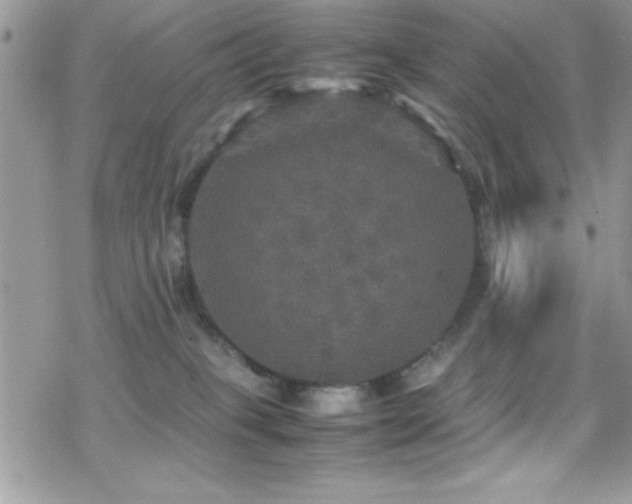 X0000070410085200606091202