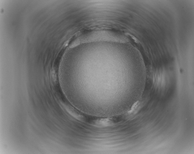 X0000070410086200606091202