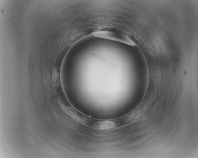 X0000070410087200606091202