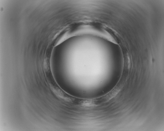 X0000070410088200606091202