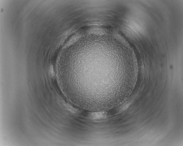 X0000070410089200606091202