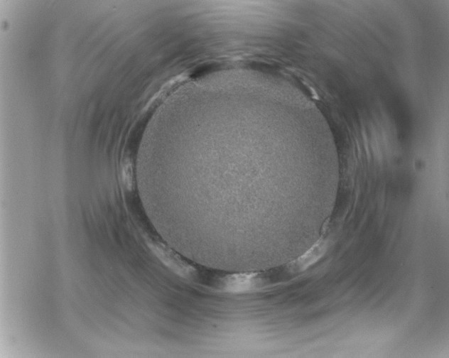 X0000070410090200606091202