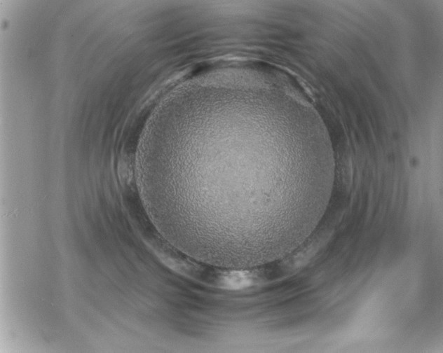 X0000070410091200606091202