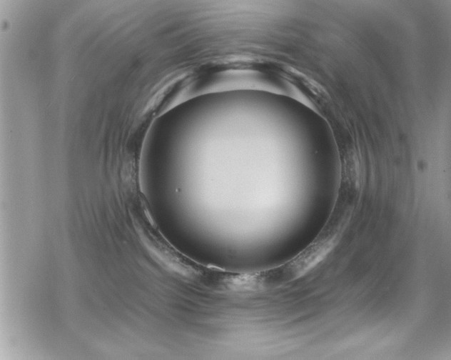 X0000070410092200606091202